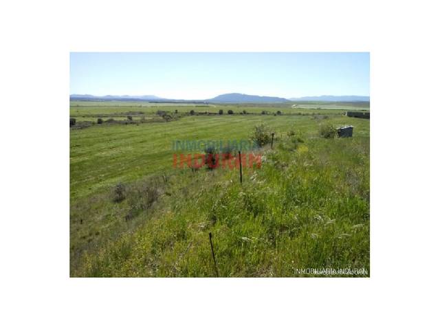 Finca rústica en Venta en Alcolea de Tajo