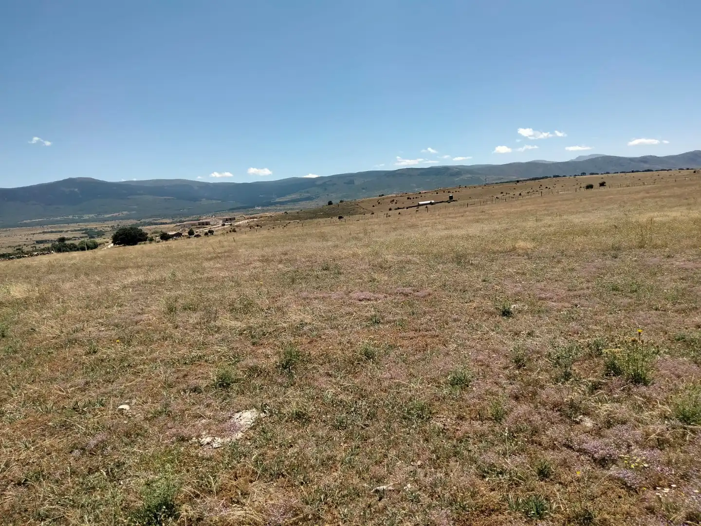 Terreno rustico in vendita a Basardilla, imagen 4