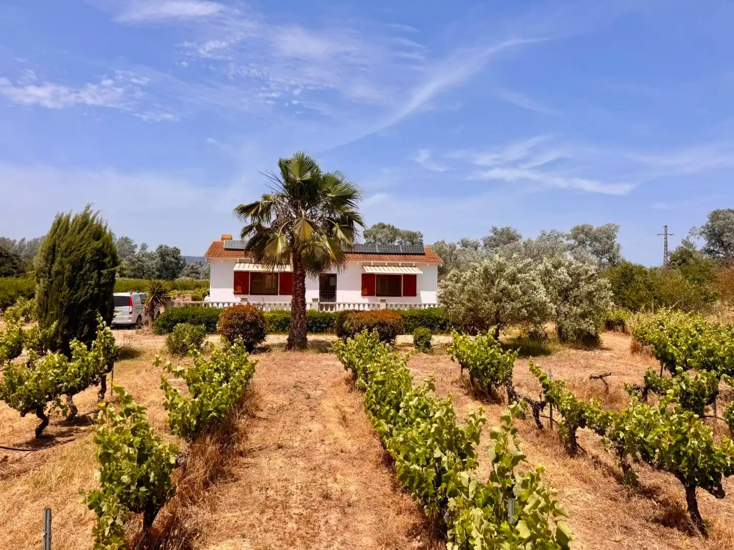 Casa o xalet en venda en Ginestar, Tarragona