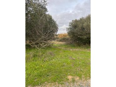 Rural land for sale in San Bartolomé de la Torre