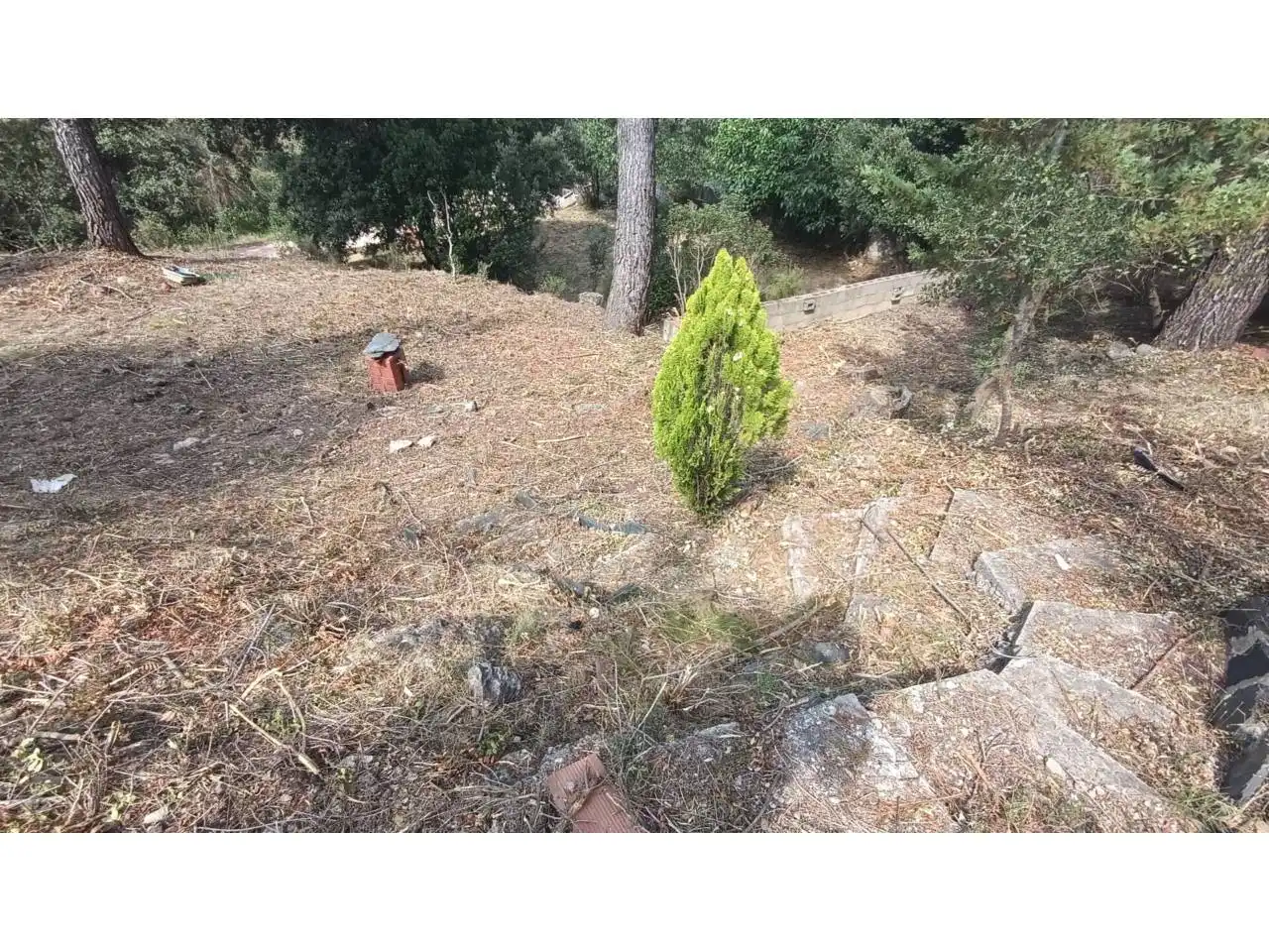 Rural land for sale in Vacarisses, imagen 29
