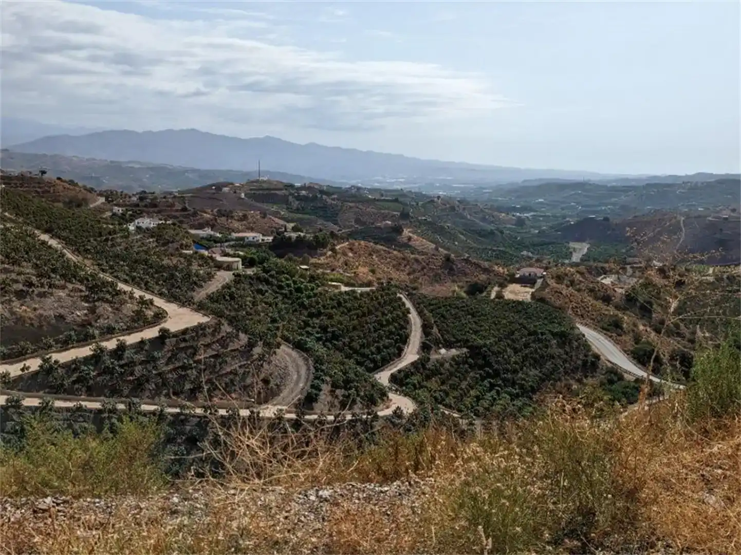 Vista exterior de Finca rústica en venda en Almáchar