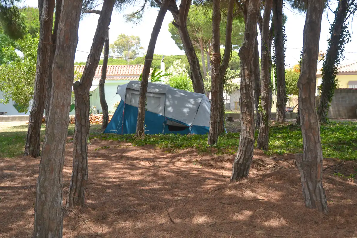 Garden of Country homes for sale in Chiclana de la Frontera