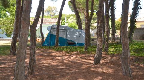 Foto 5 de Finca rústica en venda a Las Lagunas - Campano, Cádiz