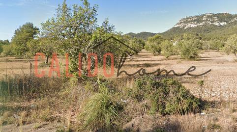 Foto 3 von Grundstücke zur Miete in Felanitx Poble, Felanitx