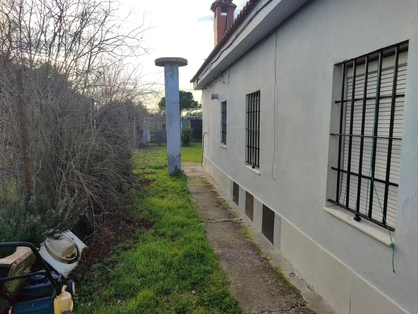 Vista exterior de Casa o chalet en venta en Utrera con Aire acondicionado, Jardín privado y Terraza