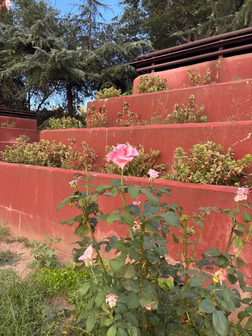 Garden of Flat for rent in Madrid  with Air Conditioner, Heating and Private garden