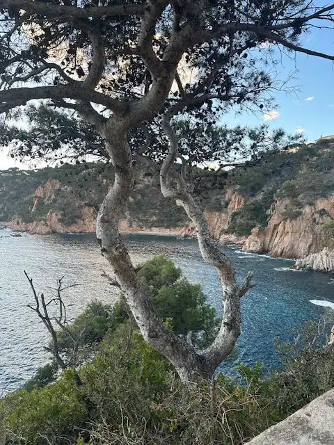 Vista exterior de Piso en venta en Sant Feliu de Guíxols con Calefacción, Amueblado y Horno