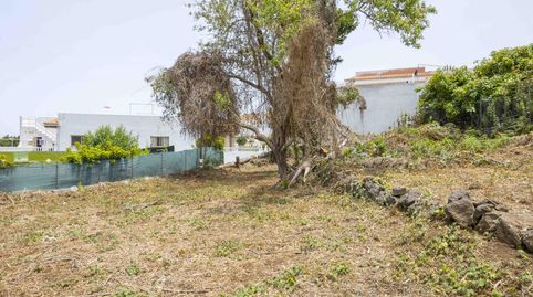 Foto 3 de Casa o chalet en venta en La Vega - El Amparo - Cueva del Viento, Icod de los Vinos