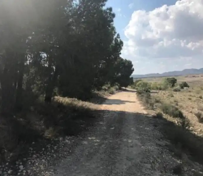 Land for sale in Cieza