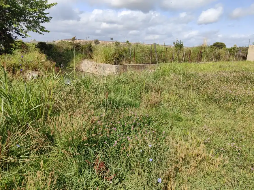 Residential land for sale in Partida MULADAR, Polígono 40, Parcela PARTE 106., imagen 11