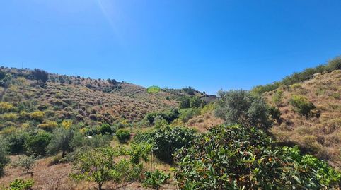 Foto 4 de Finca rústica en venta en Norte - Barrio del Pilar - El Reñidero, Vélez-Málaga