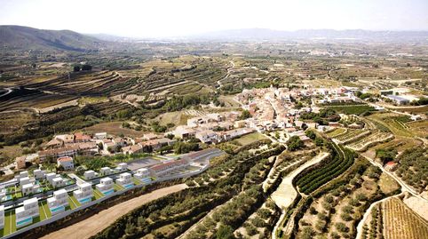 Cercano a la ermita, immagine 5