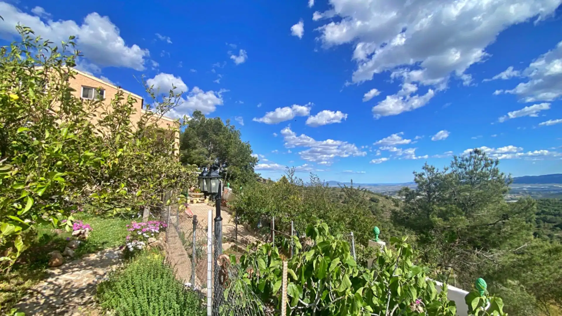 Jardí de Casa o xalet en venda en Aledo amb Jardí privat, Terrassa i Traster