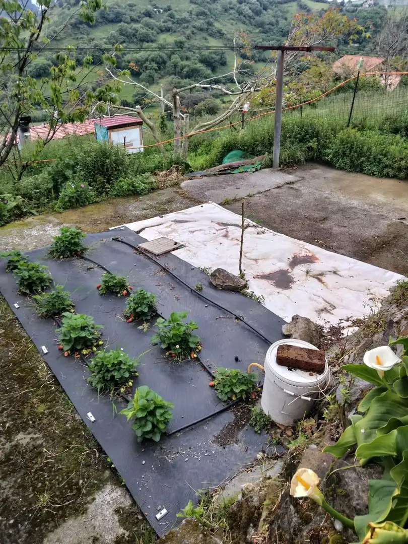 Garden of Houses for sale in Zierbena  with Heating, Terrace and Storage room