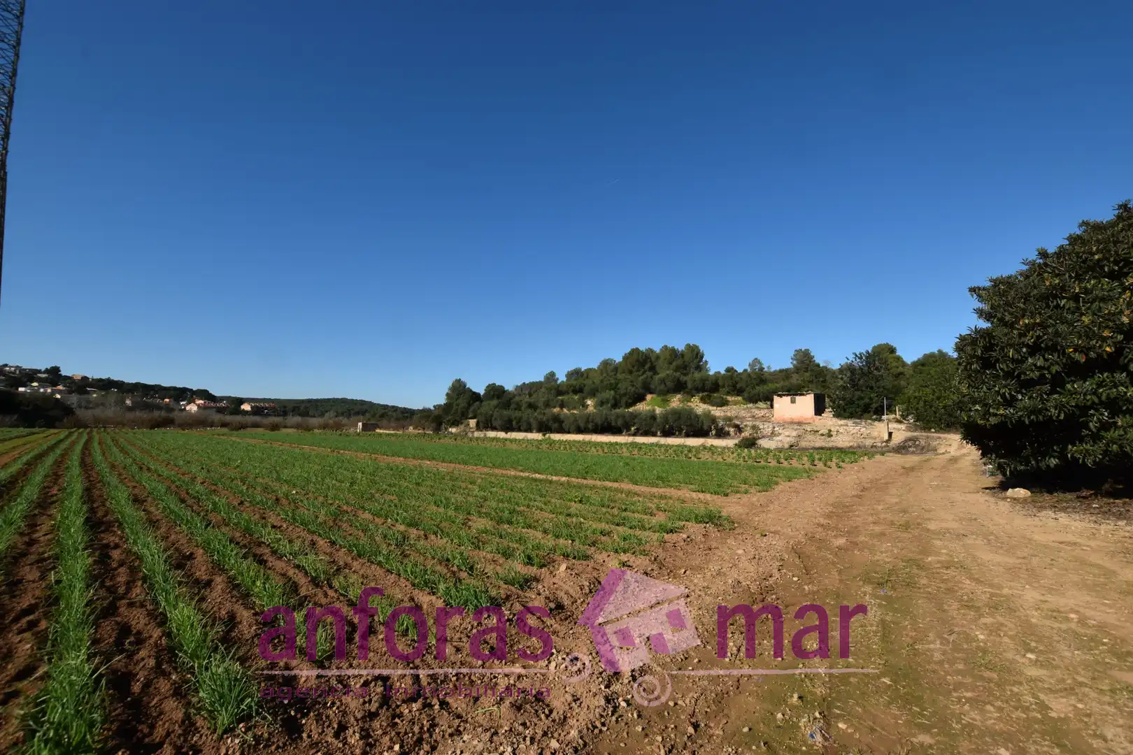 Rustikales Grundstück zum Verkauf in La Riera de Gaià, imagen 10