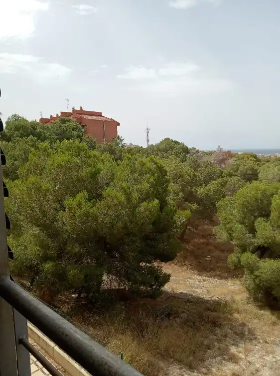 Pis amb terrassa en venda a Santa Pola ciudad, imagen 19