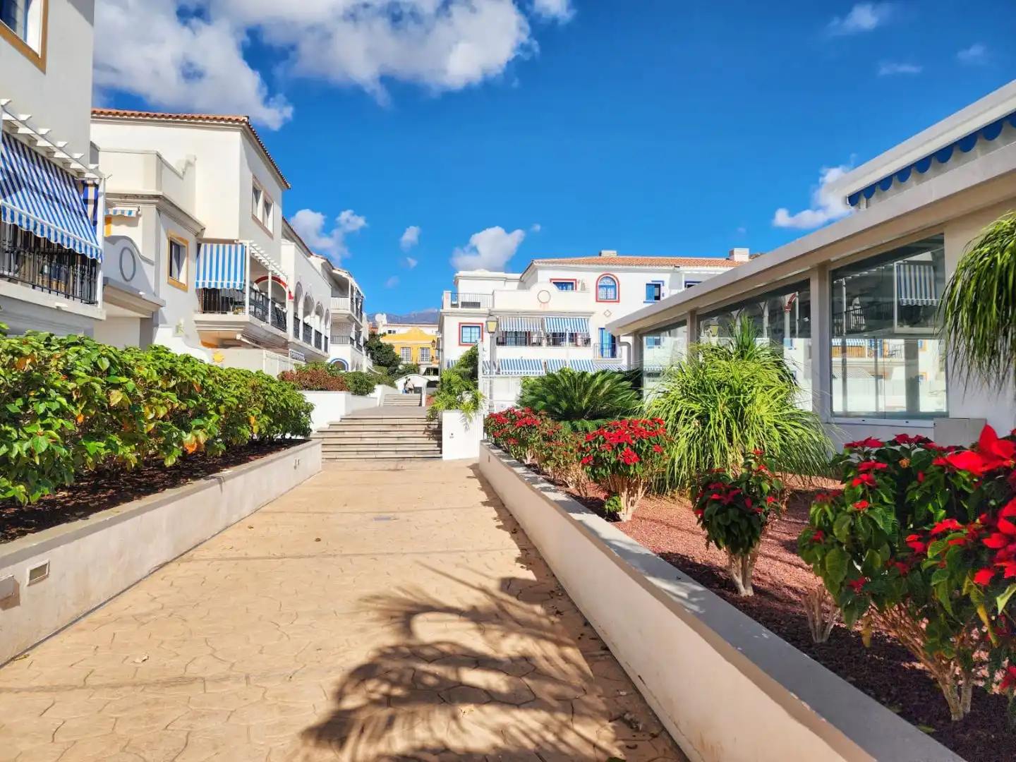 Apartamento con piscina en venta en Mencey Tegueste 20, imagen 65