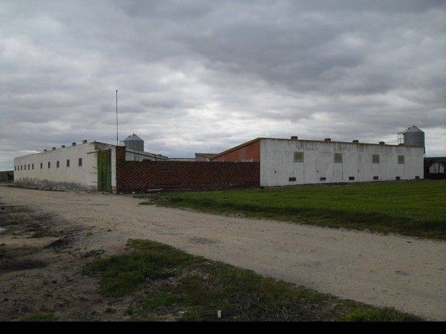 Nave industrial en Venta en Polígono 604, Parcela 529, Colonia El Buen Día en Villaflores