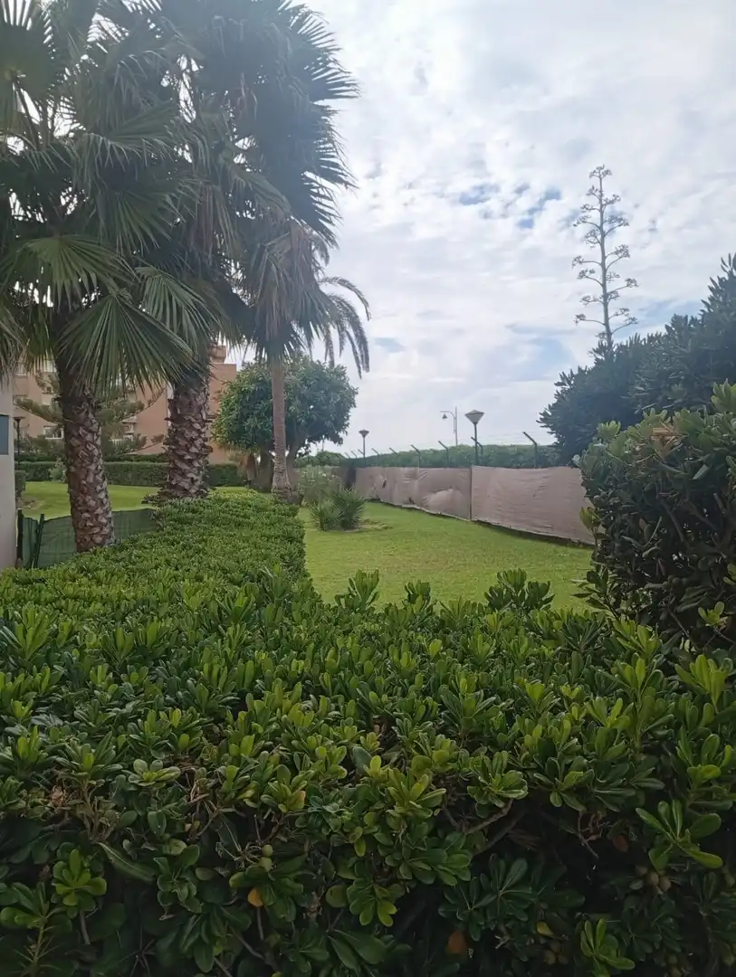 Jardín de Estudio de alquiler en Málaga con Terraza, Amueblado y Piscina comunitaria