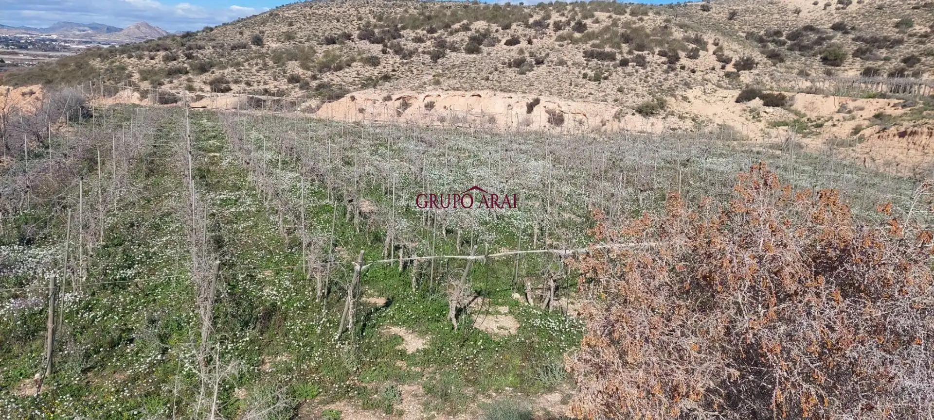 Terreno rústico en venta en Avenida del Mediterráneo, imagen 17