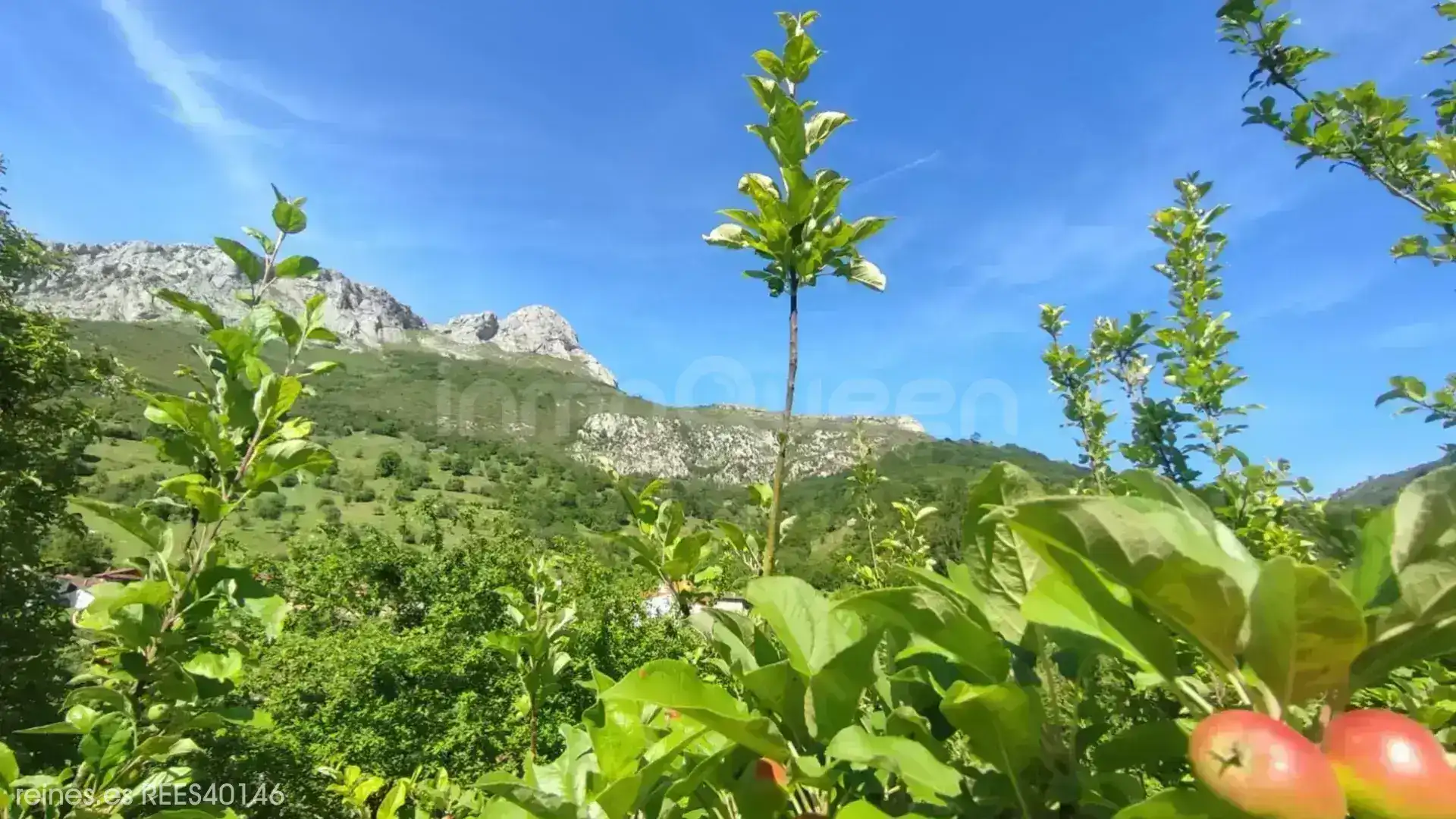 Residencial en venda en Peñamellera Alta