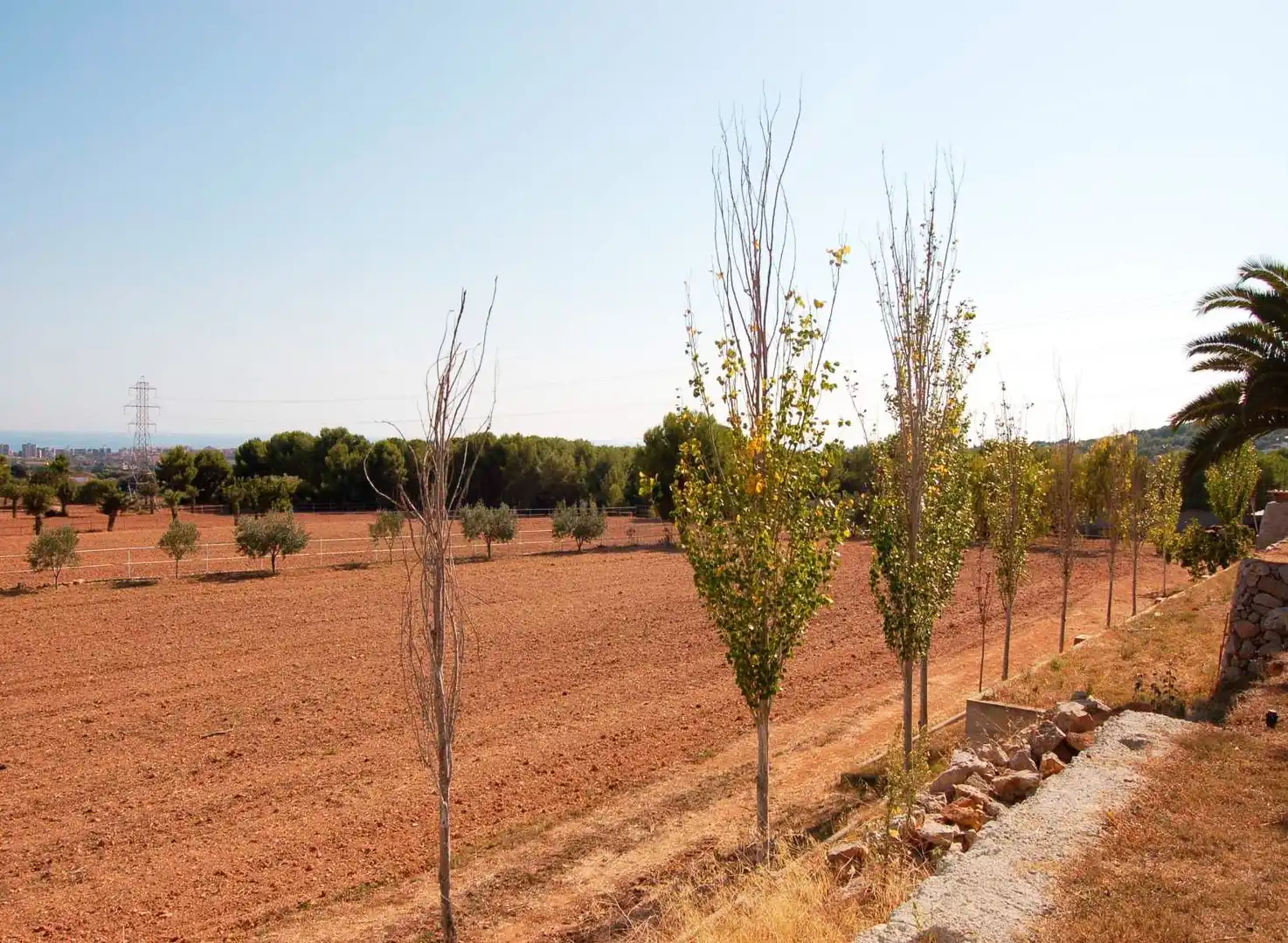 Country homes for sale in Nord