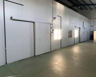 Industrial buildings for sale in Telde