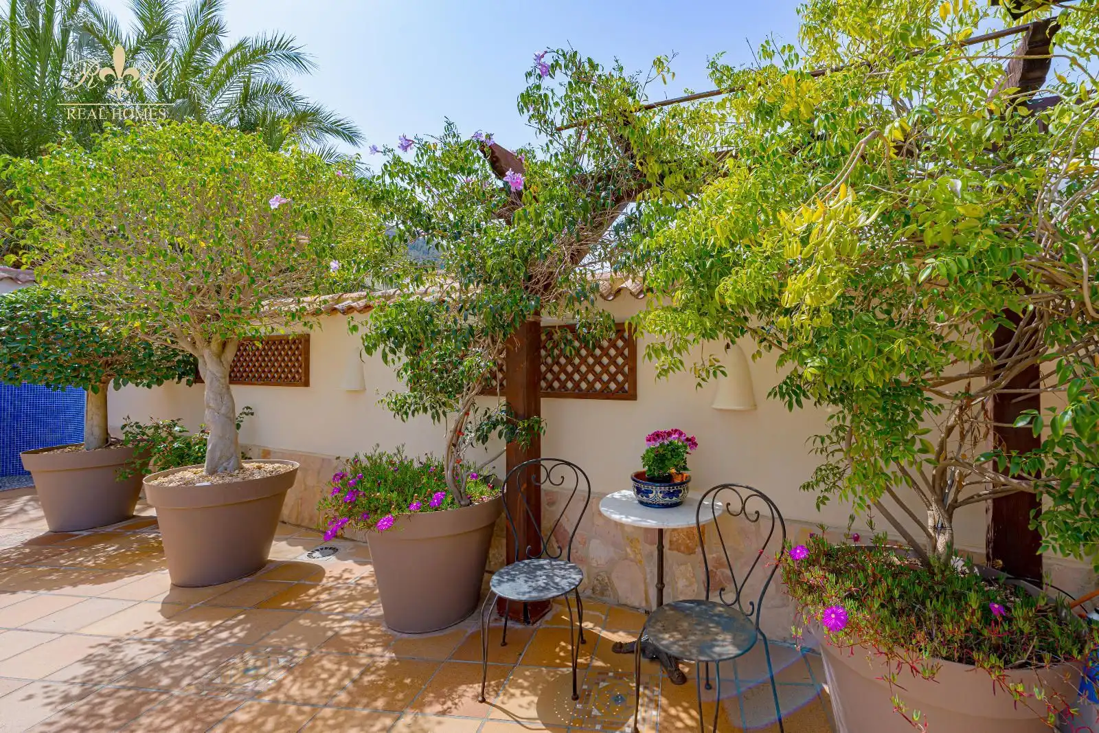 Terraced house with pool for sale in CANTERA, imagen 11