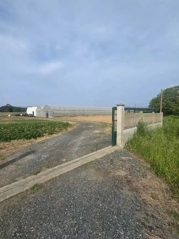 Terrenys i solars en venda a Área Rural, imagen 4