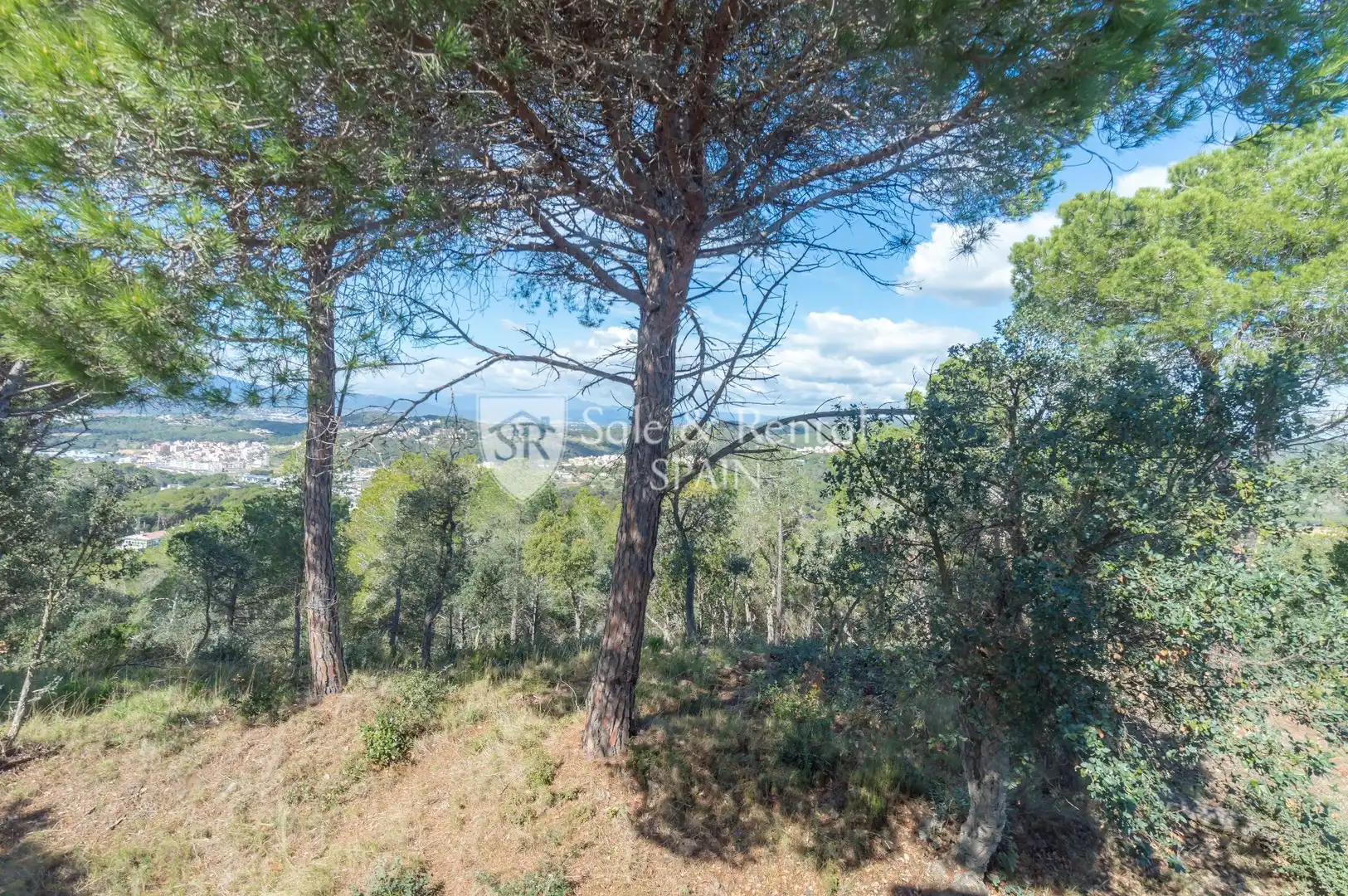 Maison avec piscine à vendre à Santa Cristina - Sant Francesc, imagen 28