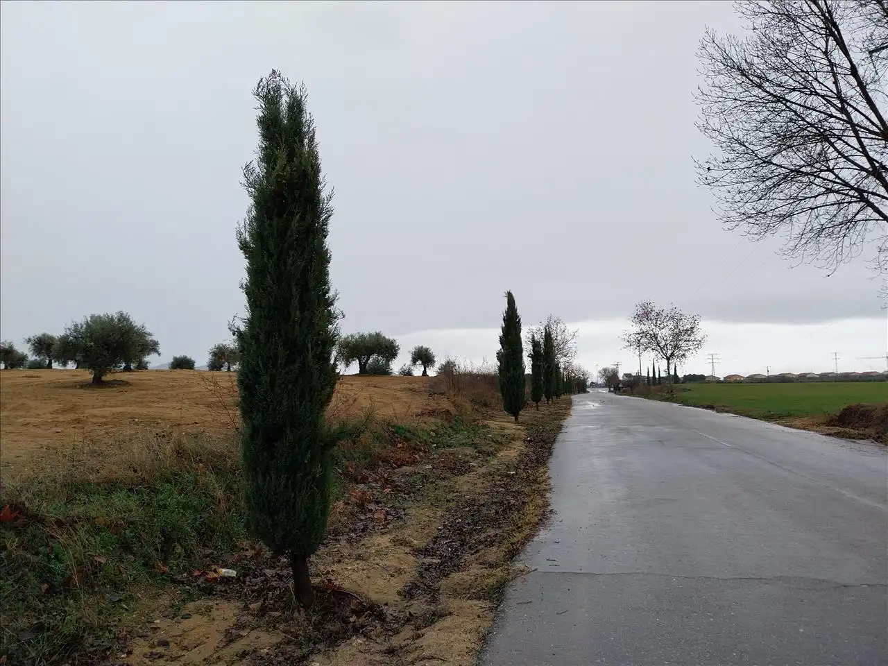 Terreny residencial en venda a PARAJE DE LOS ADOBES, imagen 11