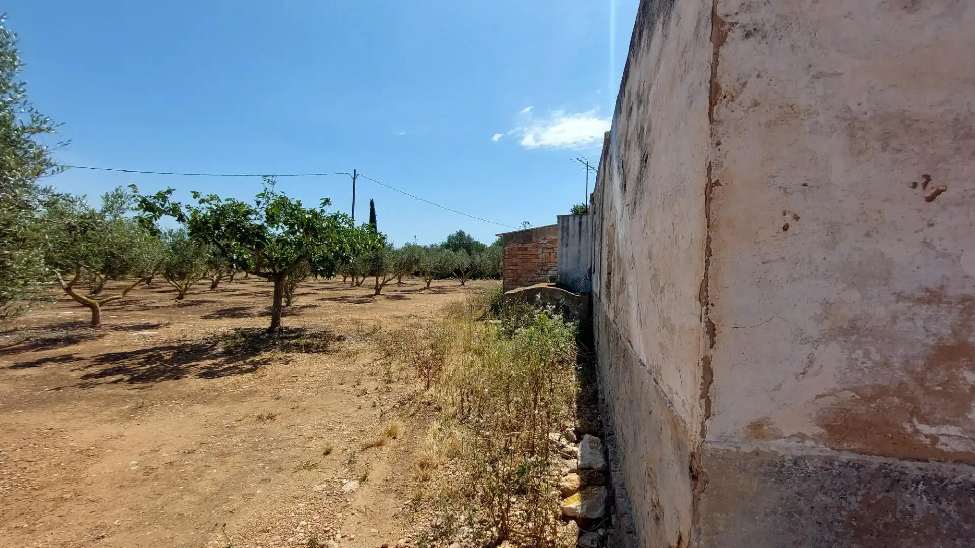 Casa rustica in vendita a Eucaliptus- Poble Nou del Delta, imagen 31