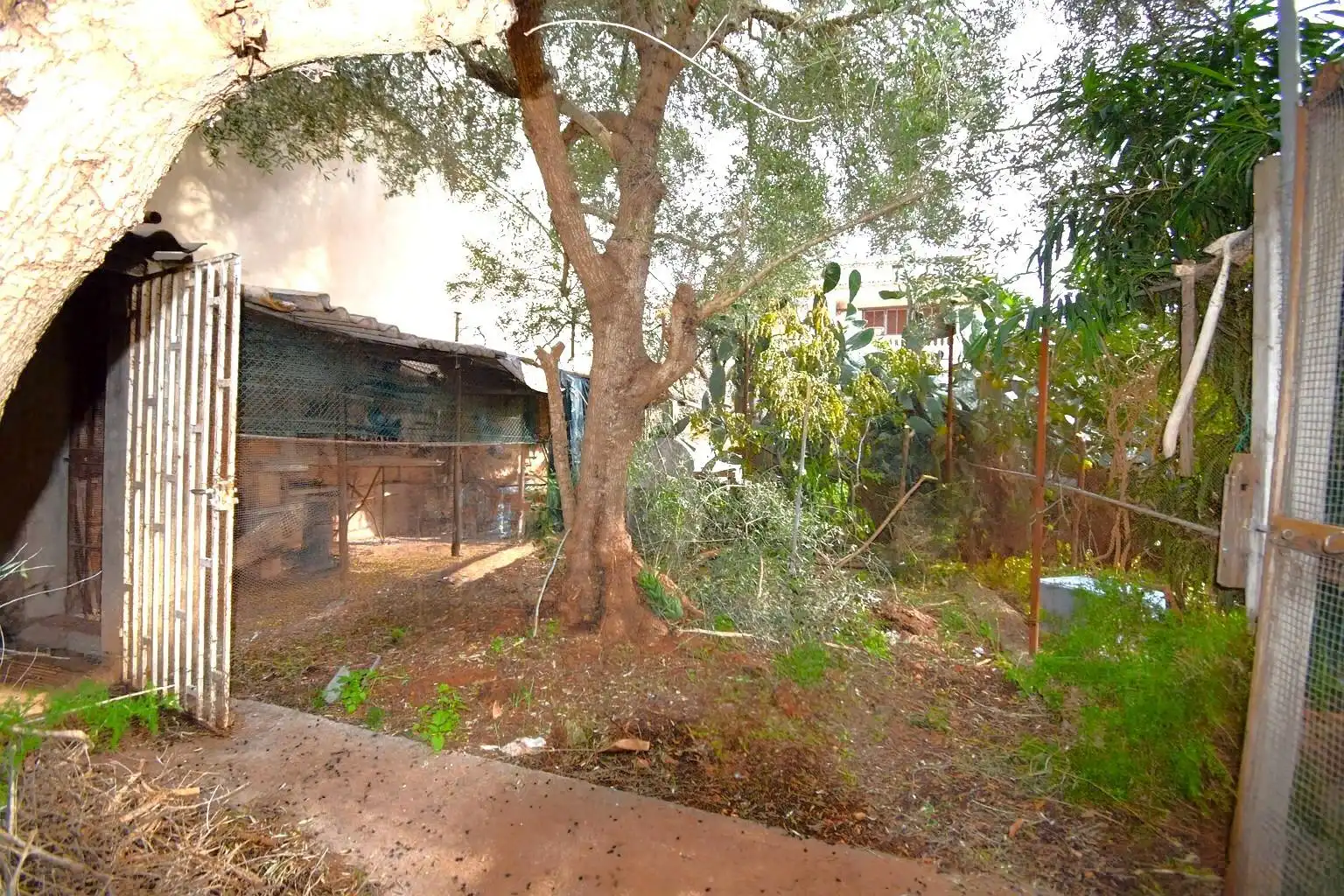 Lands and plots for sale in Carrer del Bisbe Miquel Moncadas, imagen 7