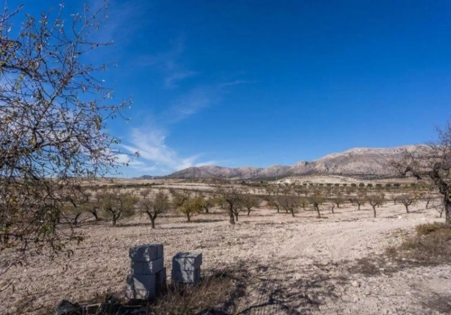 Finca rústica en venta en Vélez-Rubio con Calefacción, Jardín privado y Trastero