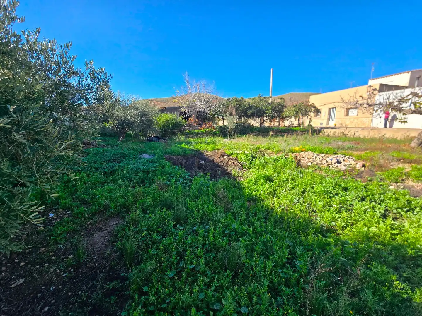 Casa o chalet en venta en Los Gallardos con Aire acondicionado, Terraza y Trastero
