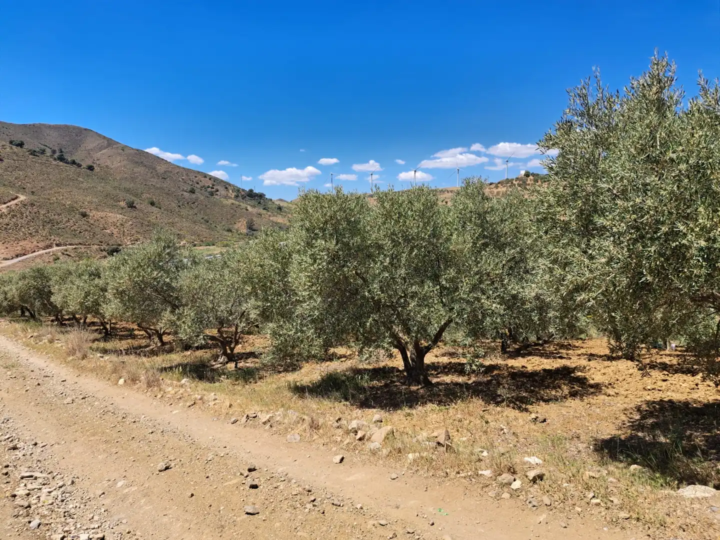 Rural land for sale in Carratraca, imagen 6