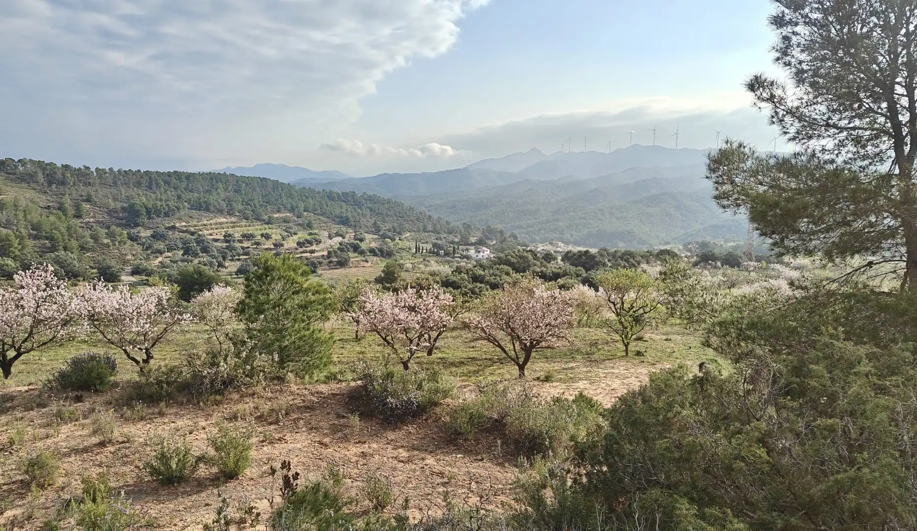 Finca rústica en venda en Ascó amb Aire condicionat, Calefacció i Piscina