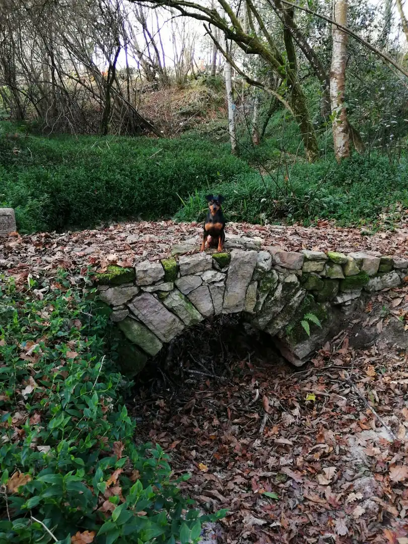 Jardín de Finca rústica en venta en Llanes
