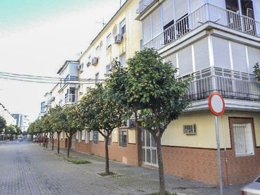 Pis en venda a GLADIOLO