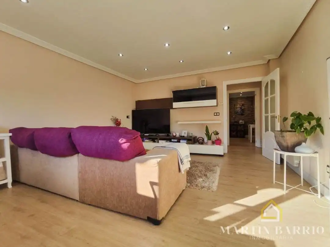 Sala de estar de Casa o chalet en venta en Muskiz con Calefacción, Jardín privado y Terraza