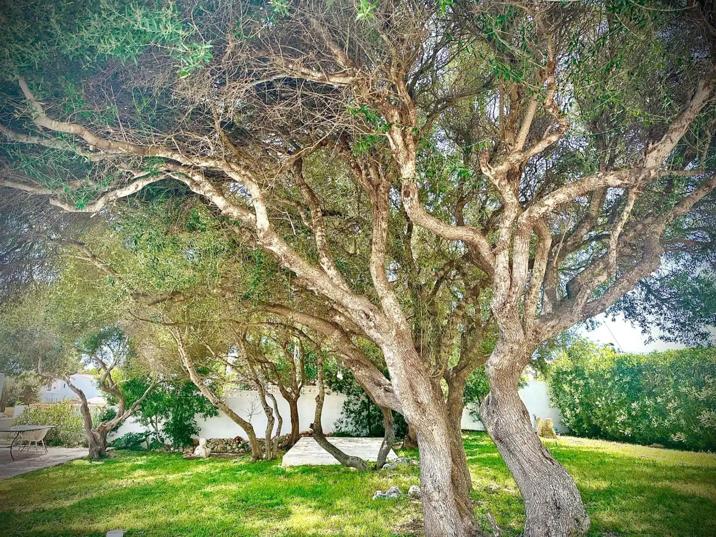 Villa avec piscine à vendre à Son Vilar - Trepucó, imagen 36