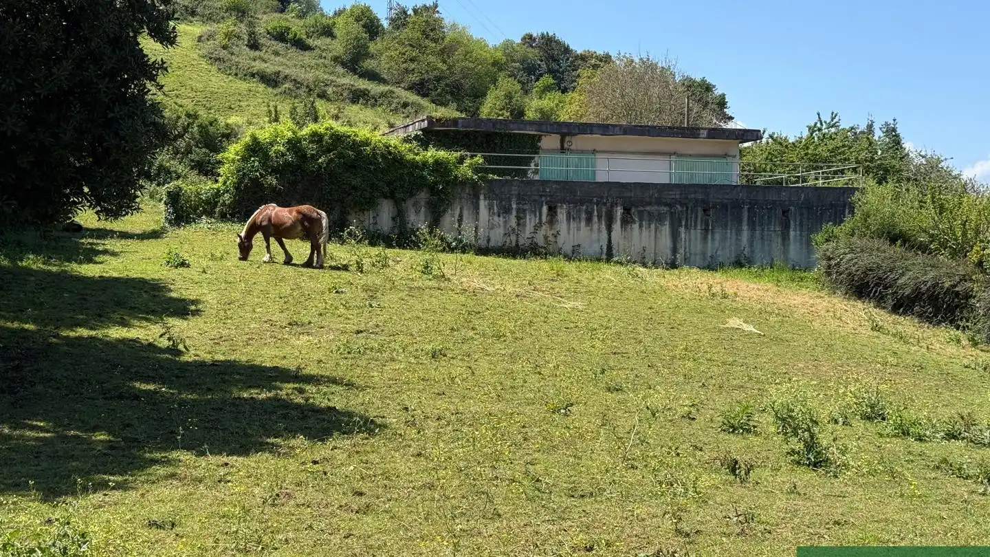Terreny rústic en venda a El Callejo - La Pesquera - La Arenosa, imagen 8