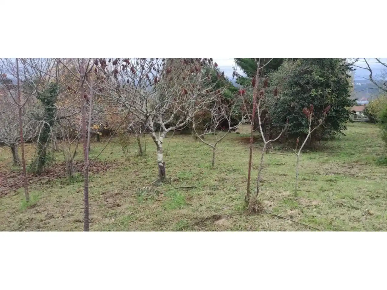 Terreny rústic en venda a Calle Lugar Barrabaite - Lamela 18, imagen 5