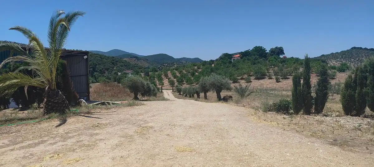 Casa rústica amb jardí en venda a Calle Hijas de la Caridad, imagen 29