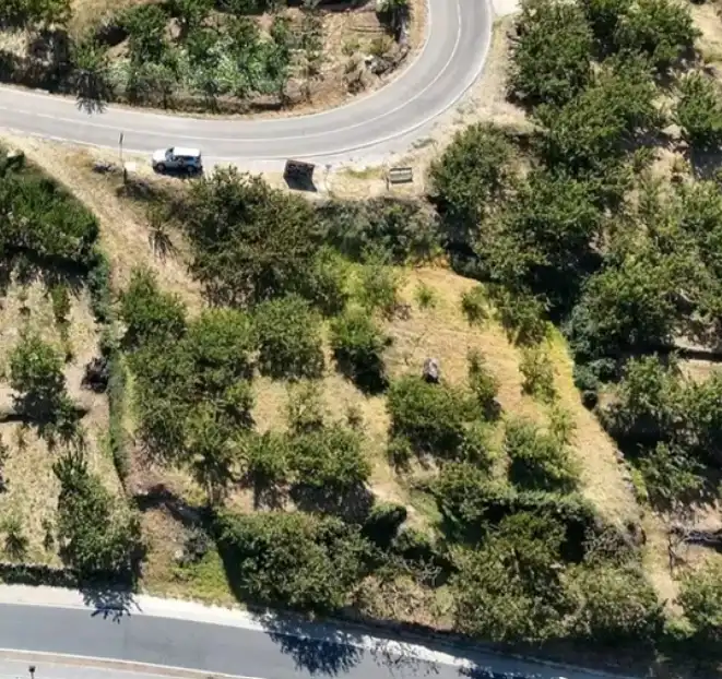 Residential land for sale in Paseo Naranjos 114, imagen 2
