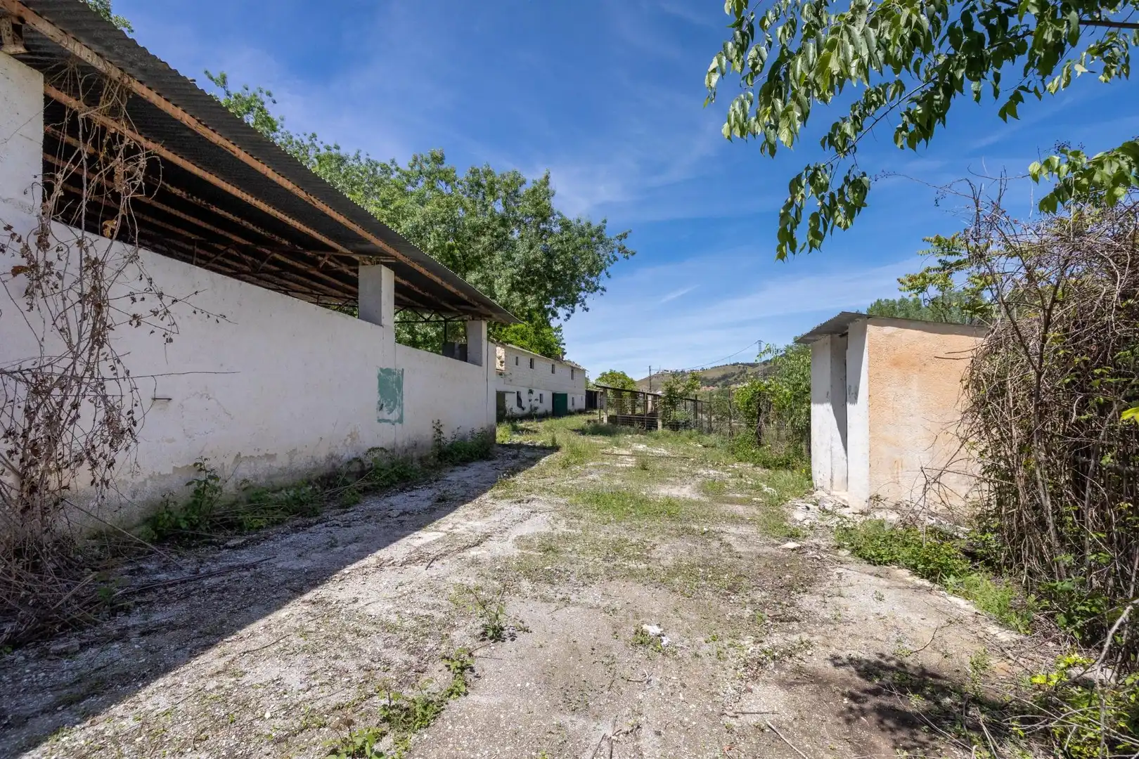 Terreni e lotti in vendita a Norte, imagen 18