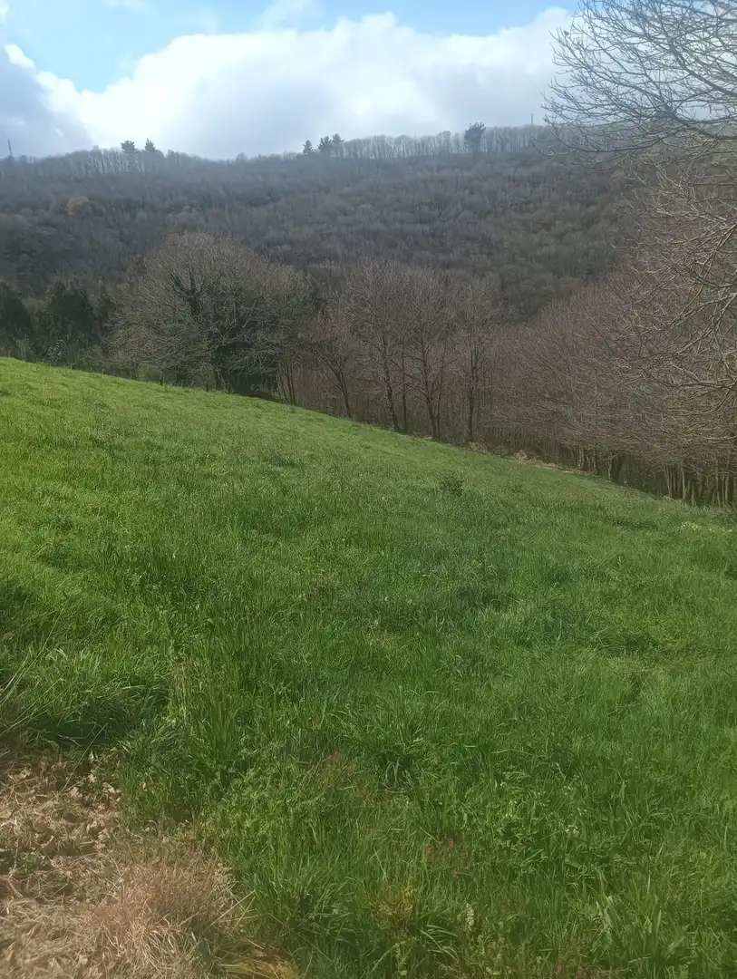 Terreny en venda en Tineo
