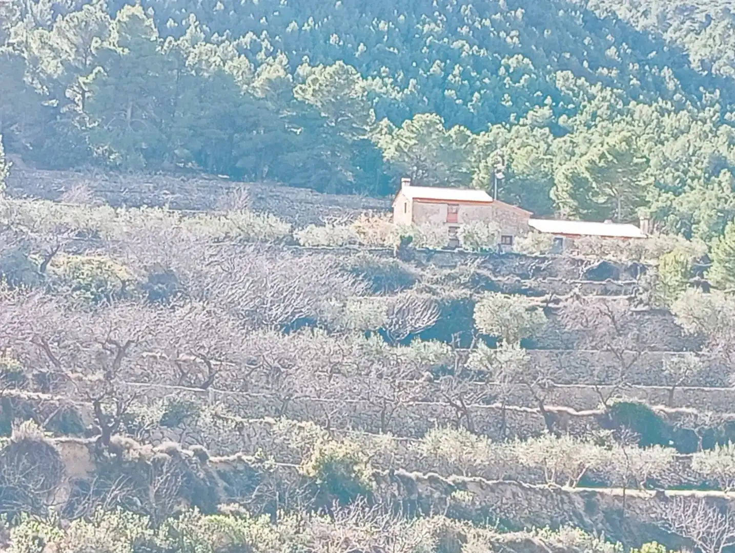 Casa rústica en venda a Sella, imagen 4