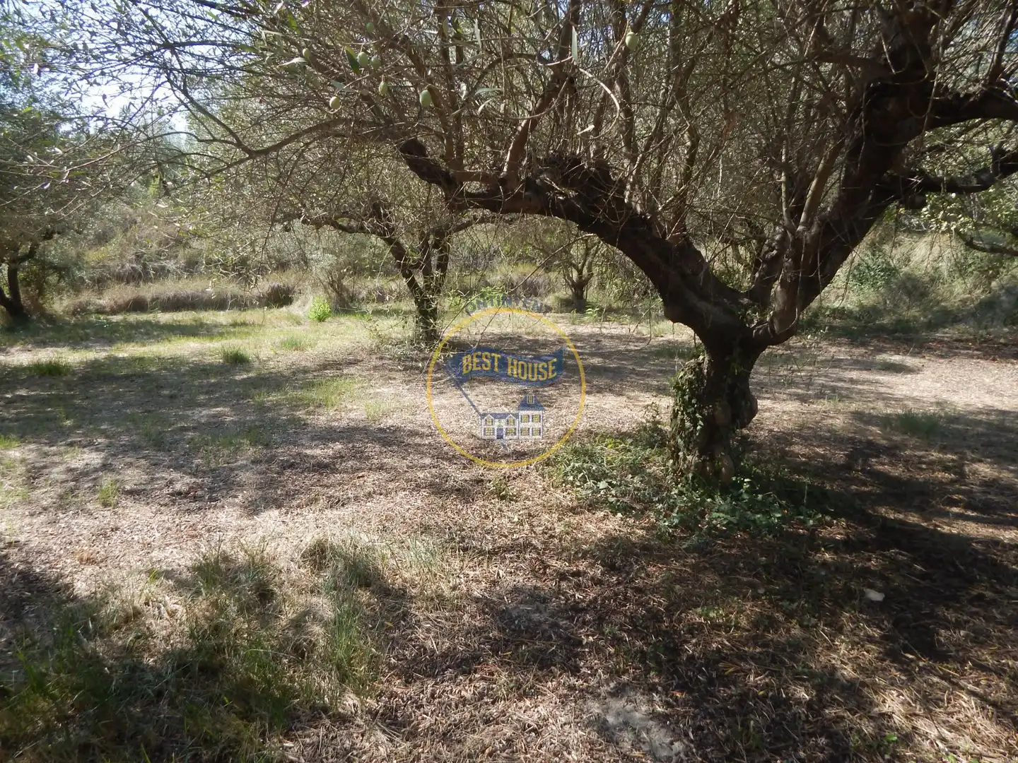 Terrain rustique à vendre à Sant Josep - Zona Hospital, imagen 7